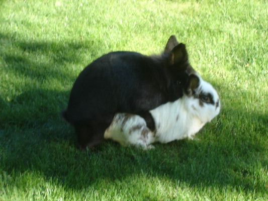 sarah044.jpg